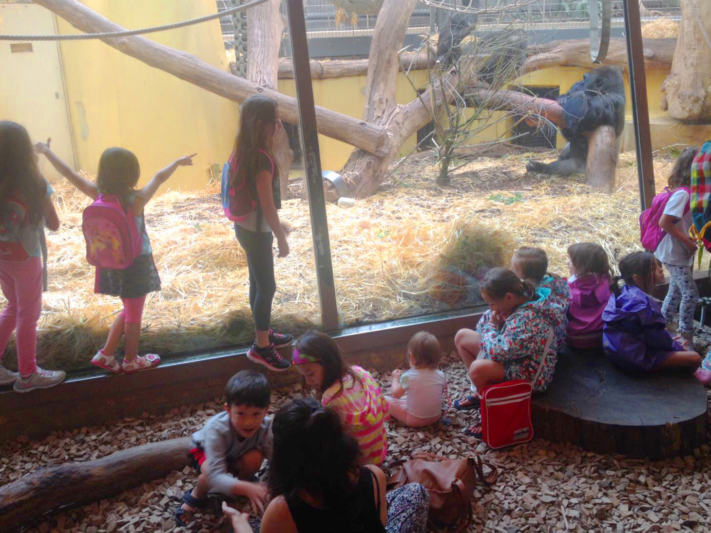 Kinder im Affenhaus